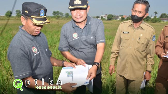 Training Ground Lapangan Gajah Mada Lamongan Siap Dibangun