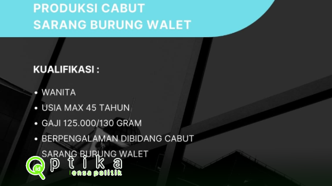 Ada Lowongan Kerja Di PT Indo Walet Lestari Ini Posisi Yang Dibutuhkan