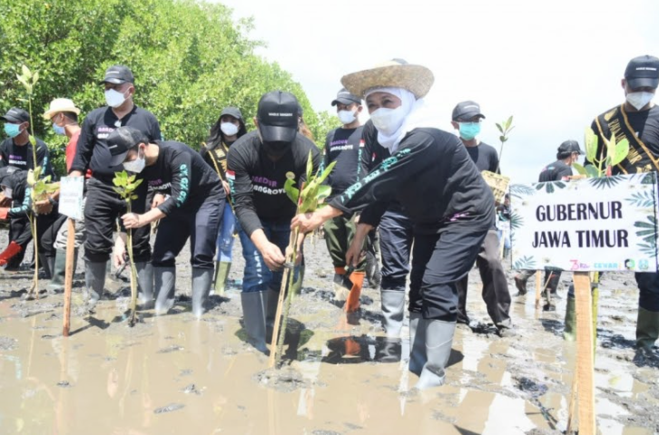 Di Banyuwangi, Gubernur Nandur Mangrove Guna Cegah Perubahan Iklim