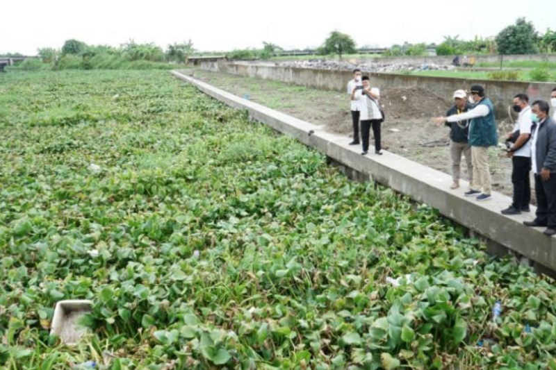 Dipenuhi Enceng Gondok, Pemkab Sidoarjo Percepat Normalisasi Sungai di Kecamatan Waru