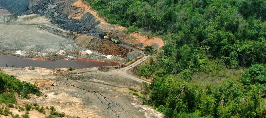 Bappenas Tak Tahu Sebagian Lahan IKN Konsesi Tambang, Sudjiwo Tedjo Tak Percaya!