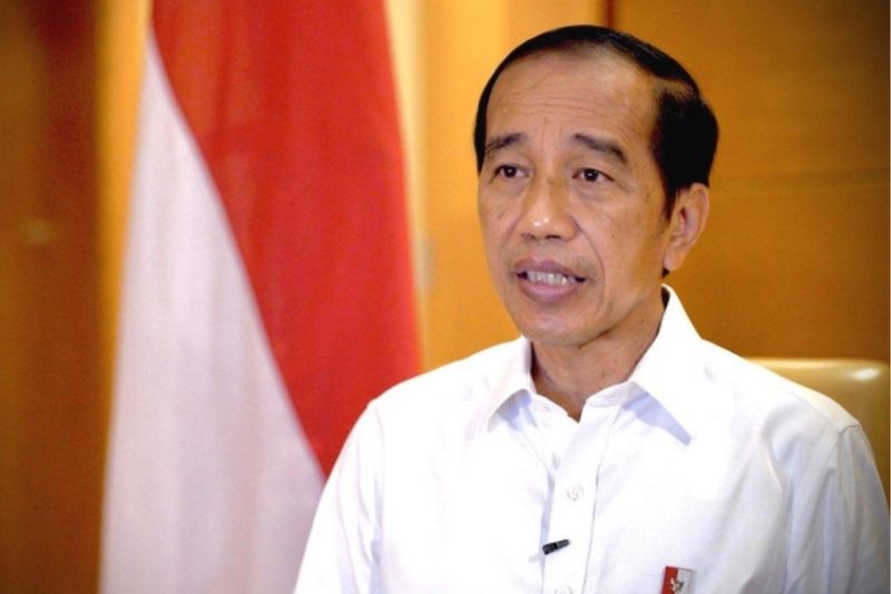 Jokowi: 70 Persen Wilayah IKN Nusantara Area Hijau