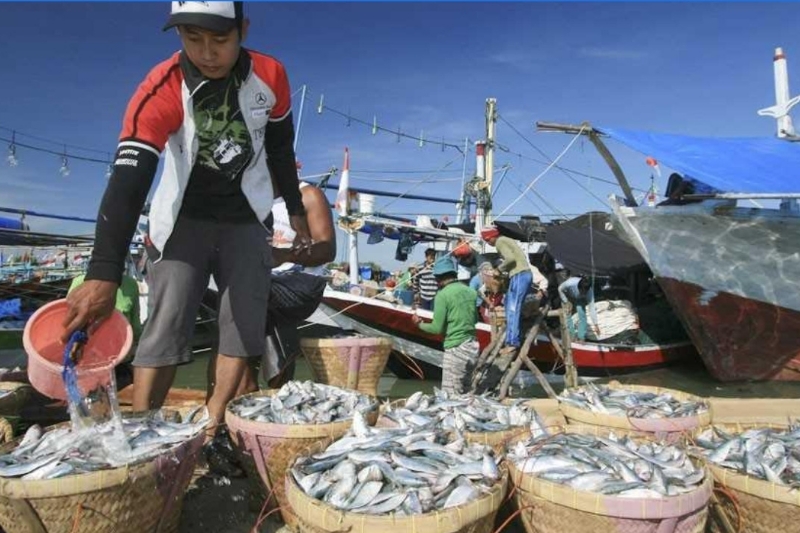 Pemerintah: Kuota Penangkapan Ikan Utamakan Nelayan Kecil