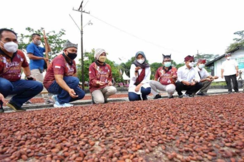 Mengenal 'Kakao Glenmore', Asal Mula Coklat Terbaik Dunia Asal Banyuwangi 