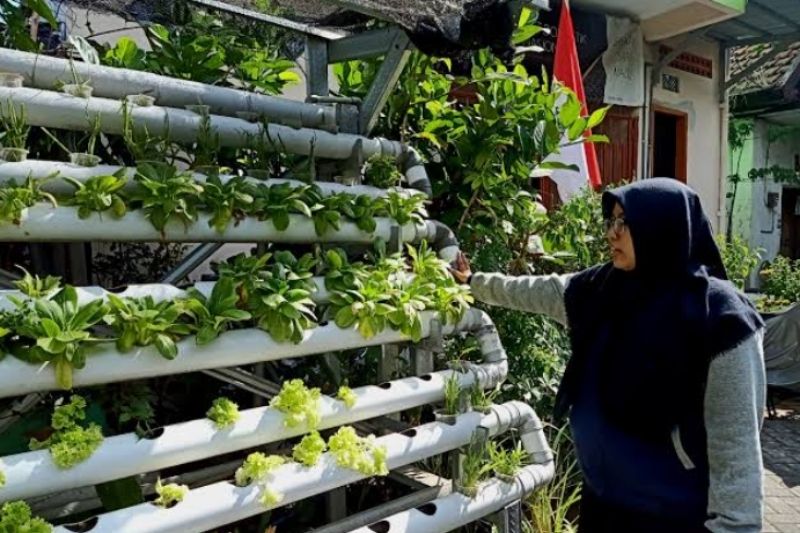 Hasil Pertanian Kota Surabaya Butuh Pemasaran yang Jelas
