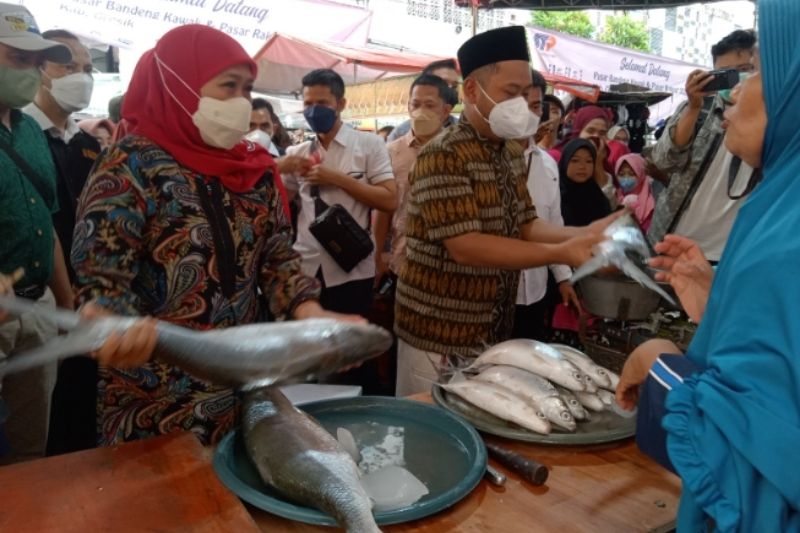 Khofifah Apresiasi Sektor Perikanan Gresik, Borong Bandeng dan Kepiting Warga Rp 5,6 Juta