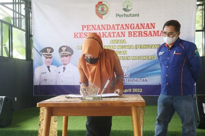 Manfaatkan Lahan Hutan, Pemkab Mojokerto Kerja Sama dengan Perhutani