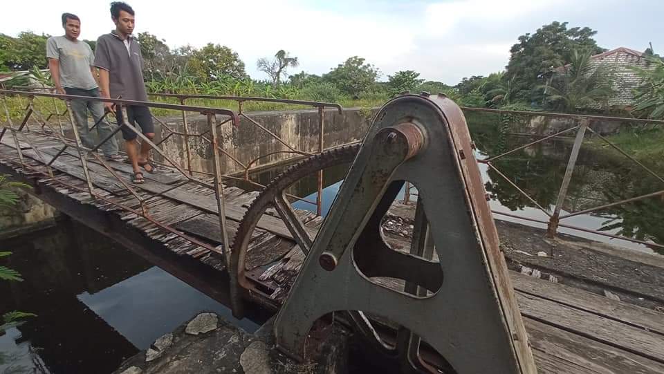 Wujud Adaptasi Ekologi Bengawan Solo di Bungah Gresik