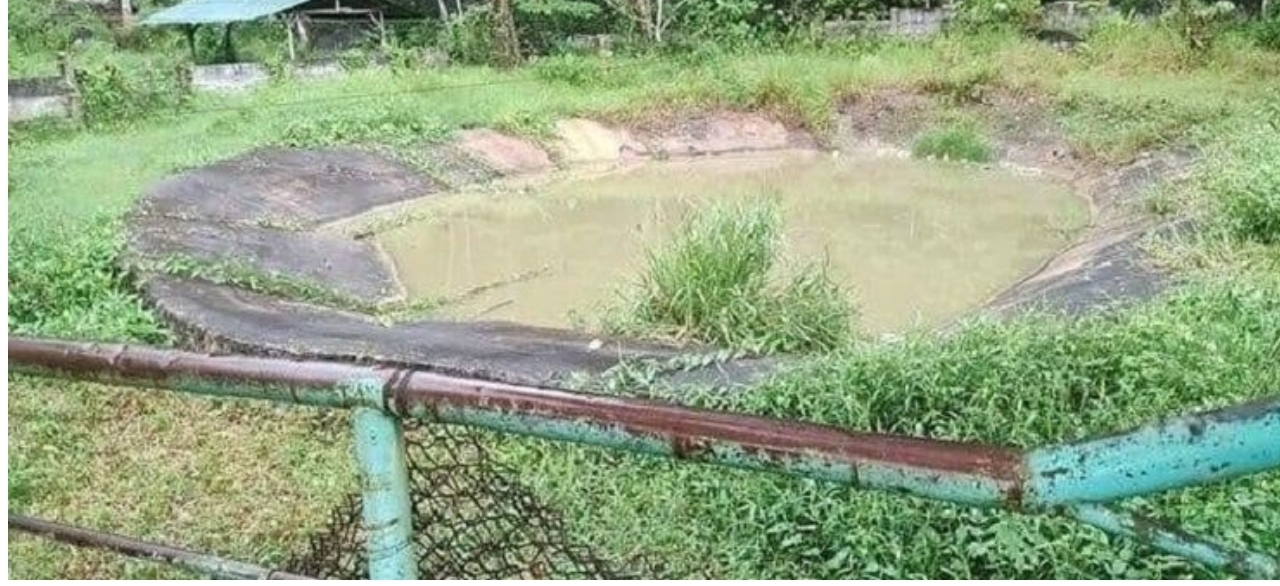 Akibat Cuci Tangan di Kolam Kebun Binatang, Tangan Pria Ini Putus