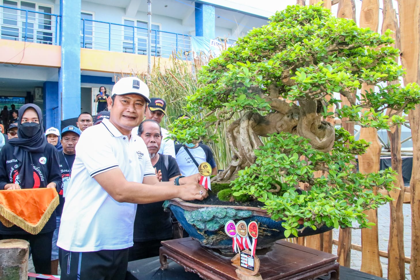 Cianci Senilai Rp 1,5 Miliar Jadi Bonsai Terbaik di Festival Bonsai Lamongan