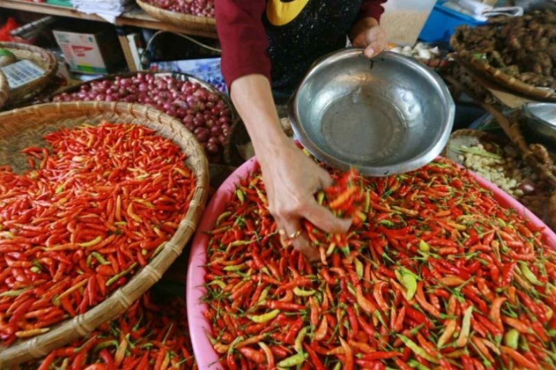 Harga Cabai di Lamongan Kian Pedas, Sentuh Harga Rp100 Ribu Per Kilogram