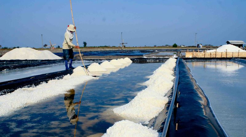 Kejagung Bergerak ke Surabaya Terkait Izin Impor Garam