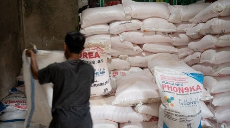 Pemerintah Hanya Akan Subsidi Pupuk Urea dan NPK, Bagaimana Nasib Petani?