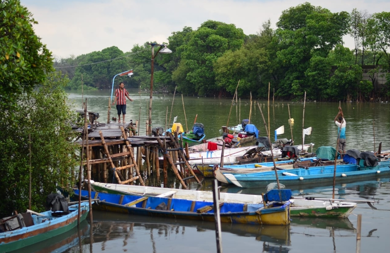 Pengolahan Buah Mangrove Diharapkan Bantu Kawasan Wisata Sontoh Laut