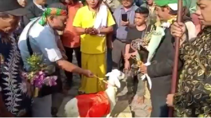 Polisi Panggil 18 Saksi Pernikahan Manusia dan Kambing di Gresik