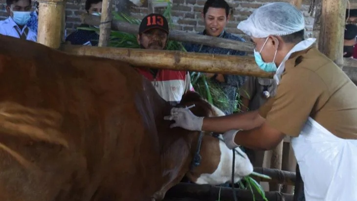 Wali Kota Kediri Imbau Warga Tak Takut Konsumsi Hewan Kurban