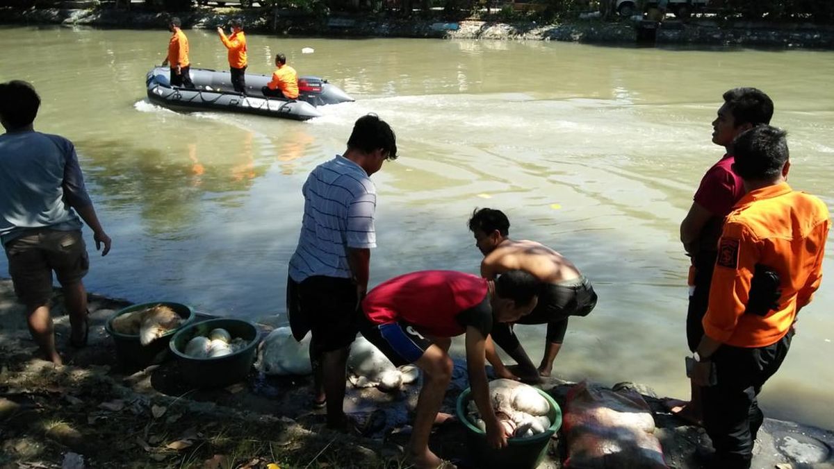 Eri Cahyadi Ingatkan Warga Tidak Buang Limbah Rumen ke Sungai