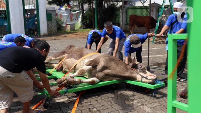 Wali Kota Surabaya Minta Warga Taati Aturan Pemotongan Hewan Kurban