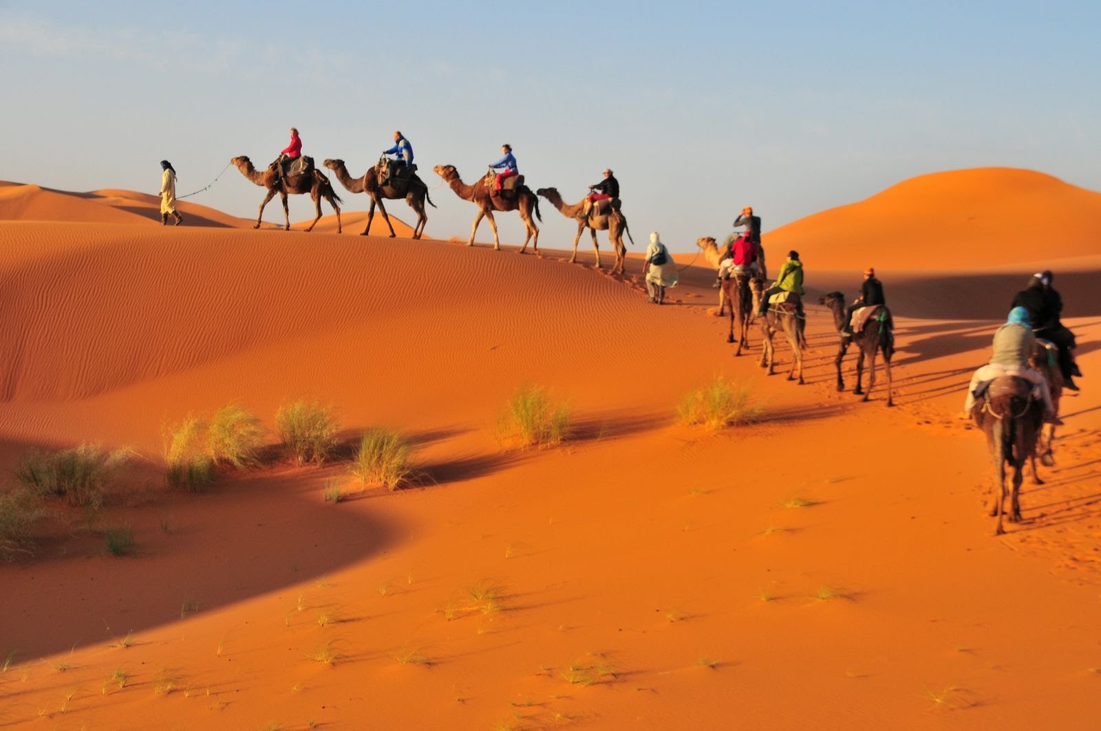 Fakta Gurun Sahara Pernah Jadi Daratan Subur, Ini Penyebabnya