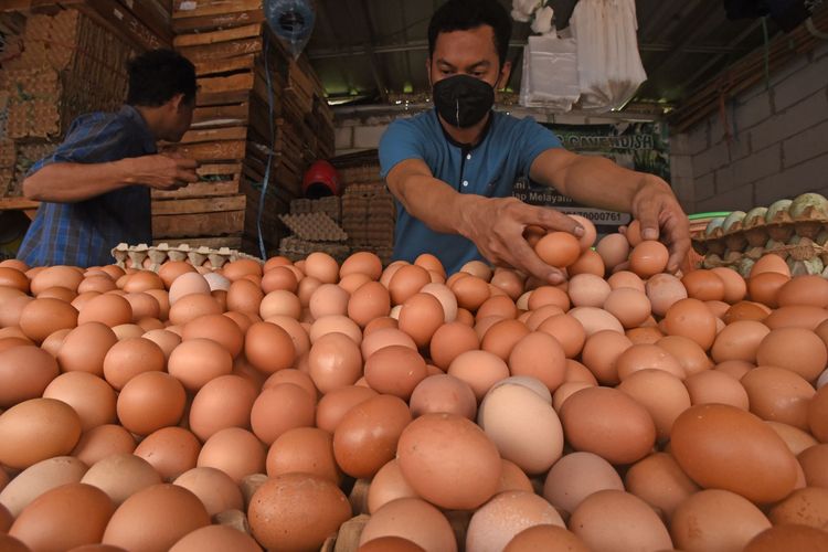 Harga Telur Ayam di Jatim Tak Kunjung Turun, Hampir Samai Harga Ayam