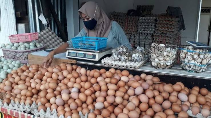 Harga Telur Tak Kunjung Turun, Ibu Rumah Tangga Menjerit