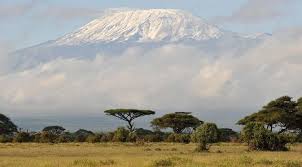 Keren! Akses Internet di Gunung Kilimanjaro Berkecepatan Tinggi