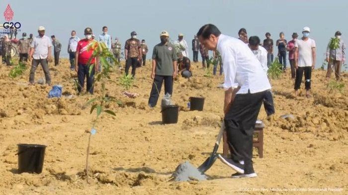 Kunjungi Gresik-Sidoarjo, Jokowi Resmikan Lumbung Pangan Mangga Hingga Bagi Sertifikat