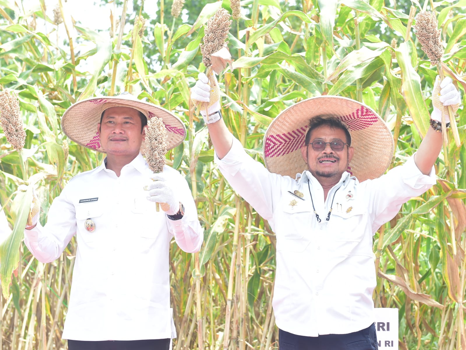 Lawan Impor Gandum, Mentan Dukung Lamongan Sebagai Kawasan Pengembangan Sorgum