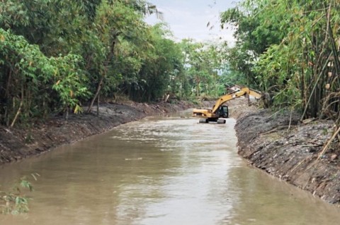 Komunitas Nol Sampah: Pelebaran Sungai di Surabaya Bisa Merusak Mangrove
