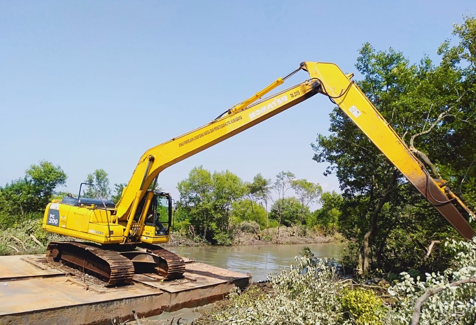 Sempat Dikritik, Armuji Minta Normalisasi Mangrove Di Hentikan