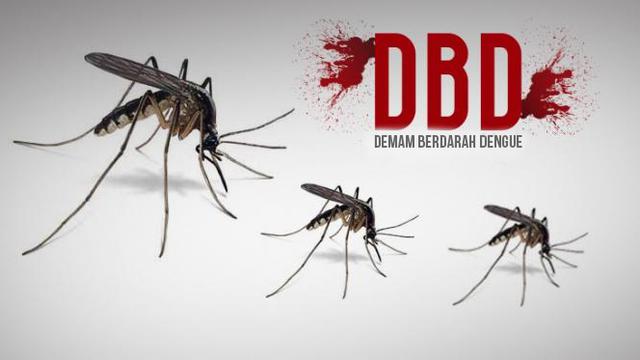 Berantas DBD, Pemkot Surabaya Berantas Sarang Nyamuk