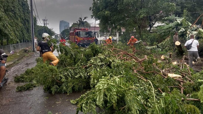 Cegah Pohon Tumbang, DLH Surabaya Potong Ranting Pohon