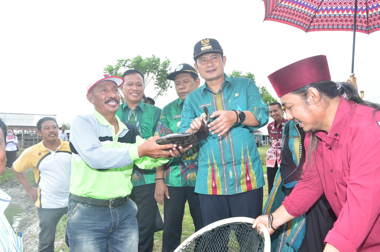 Kampung Budidaya Kerapu di Lamongan Hasilkan Miliaran Rupiah