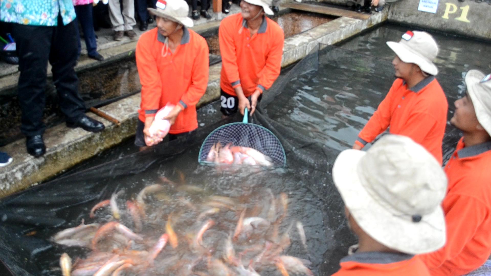 Komisi B DPRD Dukung Budidaya Ikan Lokal Buat Ketahanan Pangan di Jatim