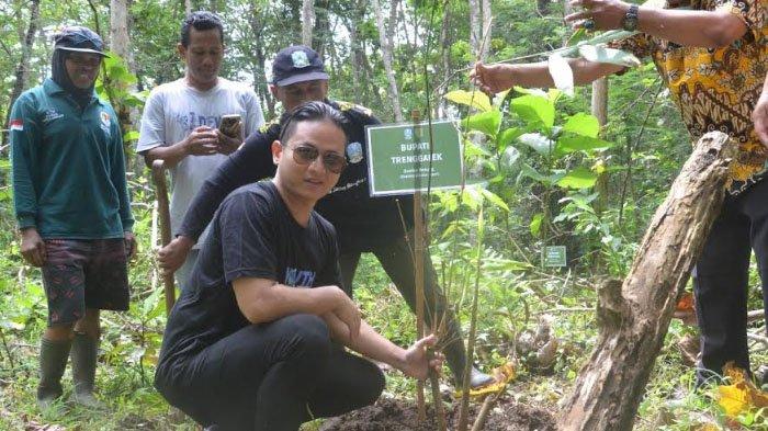 Peringati Hari Bambu Nasional, Bupati Trenggalek Ajak Ratusan Warga Tanam Pohon Bambu Demi Lestarikan Lingkungan