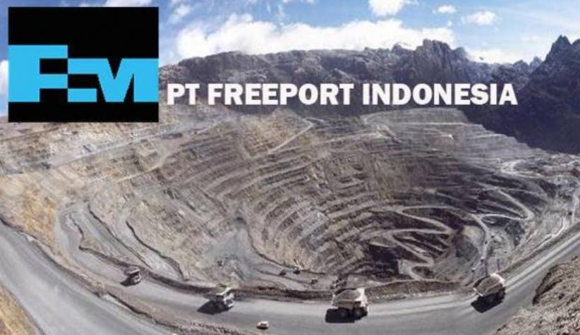 PT Freeport Indonesia Lagi Buka Lowongan Besar-Besaran Nih, Yuk Cek Daftar Posisinya di Sini