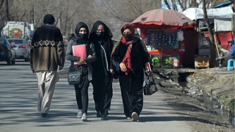 Wanita di Rezim Taliban Afghanistan Dilarang Kuliah