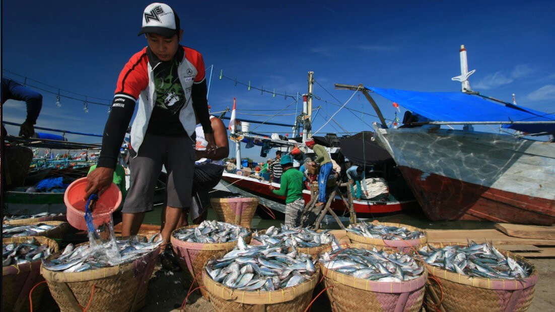 Ironi di Negeri Maritim, Nelayan Rentan Terjebak Kemiskinan Struktural
