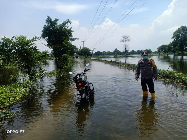 Jalan Desa Bojoasri Lamongan Tergenang Luapan Bengawan Solo