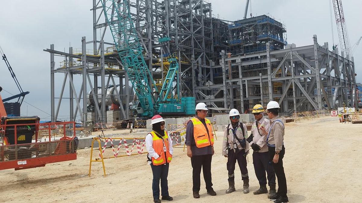 Menko Perekonomian Ungkap Proyek Smelter Freeport di Gresik Harus Selesai Tepat Waktu!