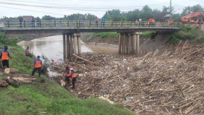 Sumbat Aliran Sungai, Puluhan Ton Sampah Batang Bambu di Madiun Meresahkan