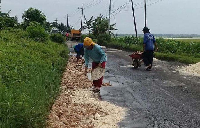 Tanpa Minta Bantuan, Kakek di Lamongan Perbaiki Jalan yang Lubang