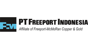 PT Freeport Indonesia Buka Lowongan Kerja, Berikut Kualifikasinya!