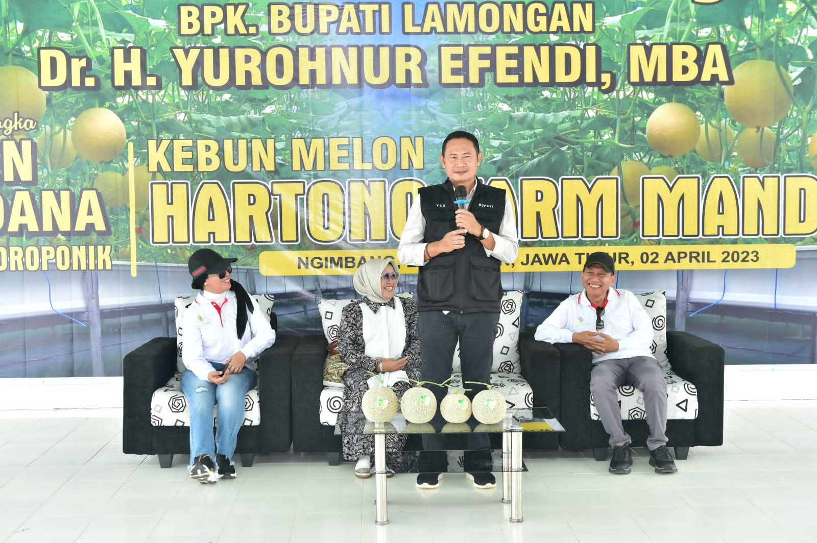 Cuaca Tidak Menentu, Lamongan Tanam Melon Hidroponik Premium Untuk Inovasi Pertanian Hortikultura