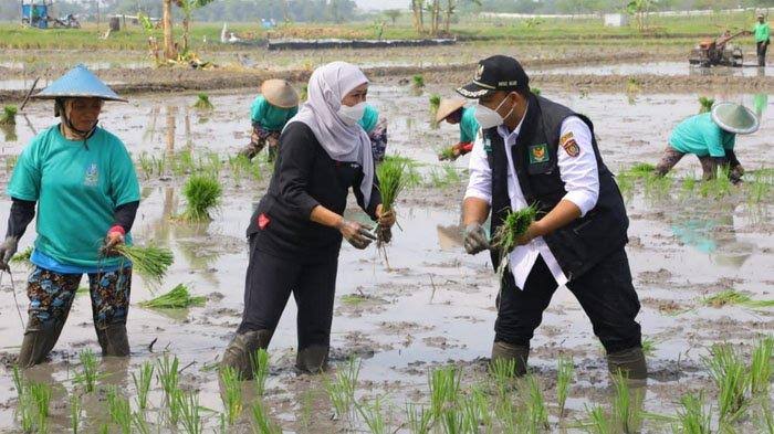 Bulan Depan, Khofifah Akan Dukung Penuh Sensus Pertanian 2023