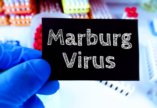 Ramai Dibicarakan, Seberapa Bahaya Virus Marburg?