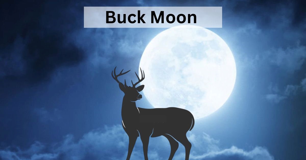 Buck Moon: Supermoon Pertama di Tahun 2023