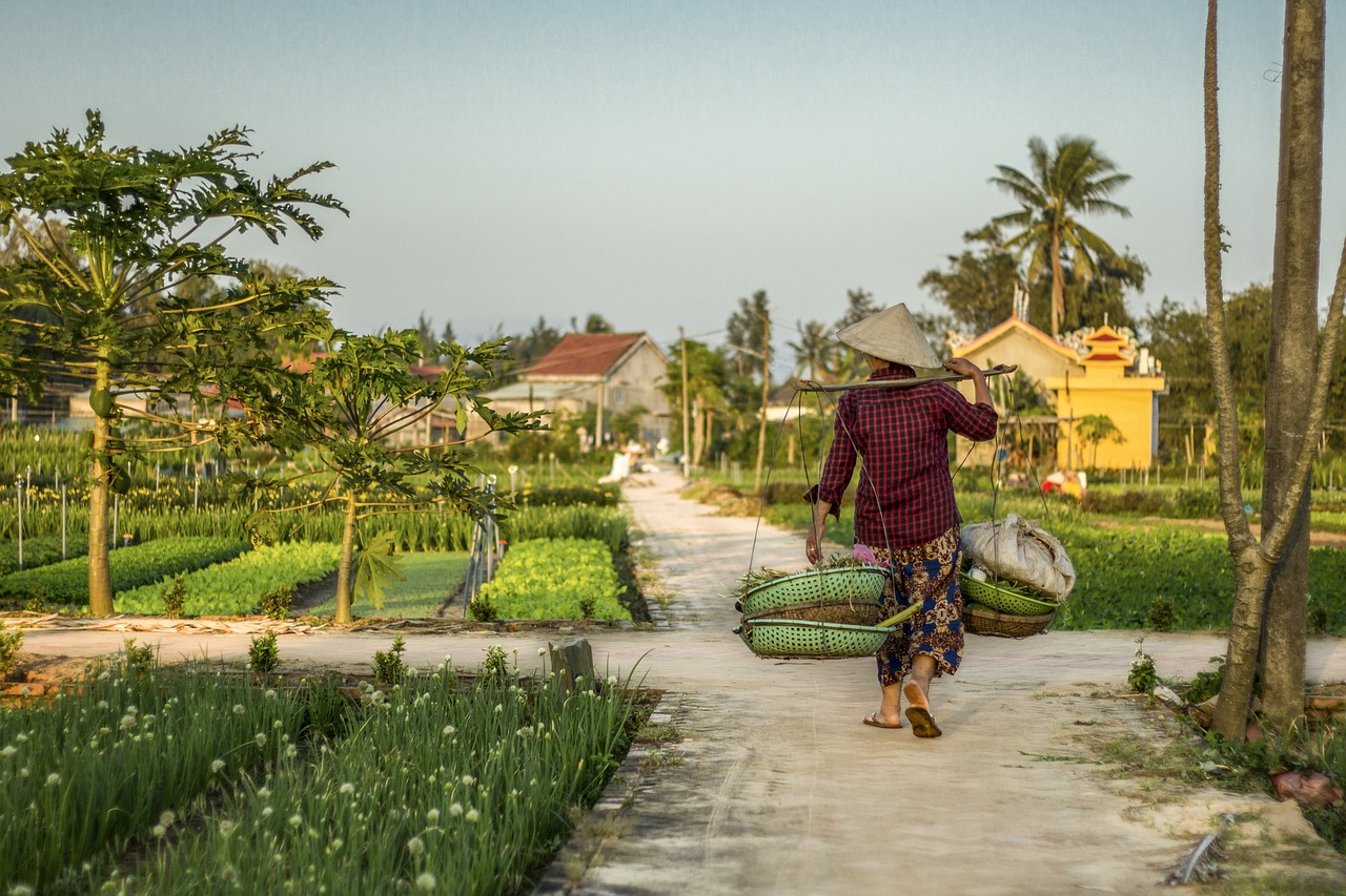 Kebijakan Landreform dan Undang-Undang Pokok Agraria