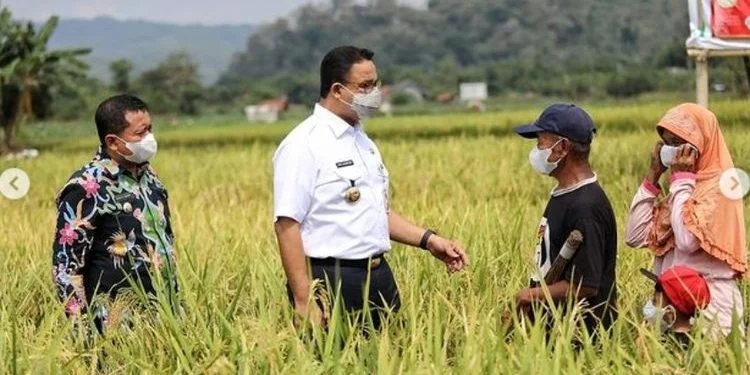 Mantan Kader PDIP Ini Yakin Anies Paham Soal Masalah Pertanian di Indonesia!