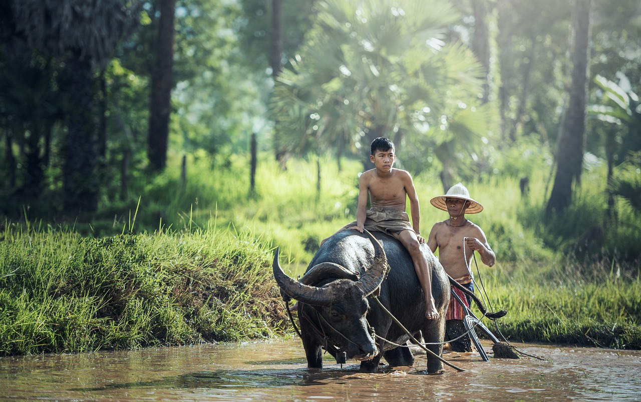 Pola Penggarapan dan Hak Atas Tanah di Jawa pada Masa Kolonial